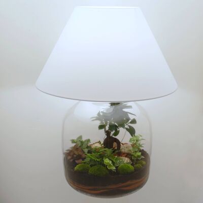 XXL tank vase terrarium lamp