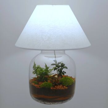 Lampe terrarium vase bonbonne XXL 2