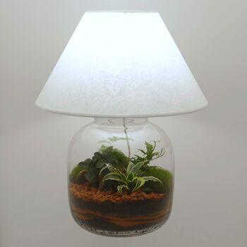 Lampe terrarium vase bonbonne XXL 3