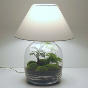 Lampe terrarium vase bonbonne XL 1