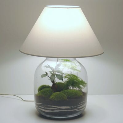 Lamp terrarium vase canister XL