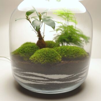 Lampe terrarium vase bonbonne XL 2