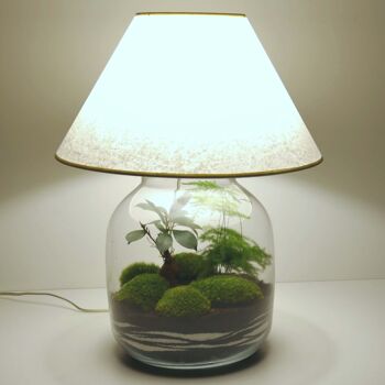 Lampe terrarium vase bonbonne XL 5