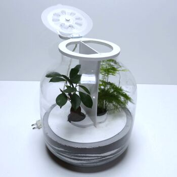 Lampe terrarium vase bonbonne XL 6