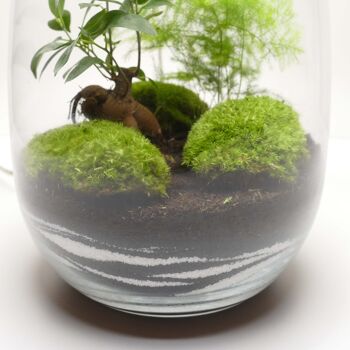 Lampe terrarium vase allongé L 2