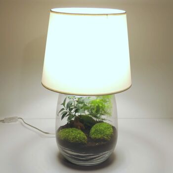 Lampe terrarium vase allongé L 4