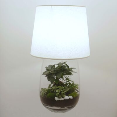 XL elongated vase terrarium lamp