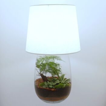 Lampe terrarium vase allongé XL 2