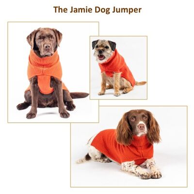El saltador de perros Jamie