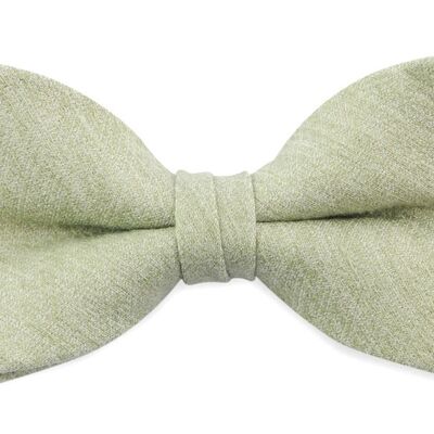 Sir Redman kids bow tie Festa Fortuna pistacchio