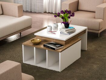 Table basse Colorado noyer blanc 1