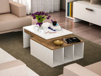 Table basse Colorado noyer blanc 2