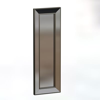 Miroir Carlos 30x90cm argent