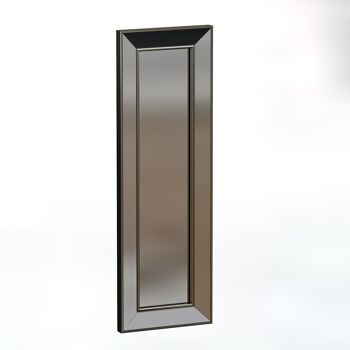 Miroir Carlos 30x90cm argent 1