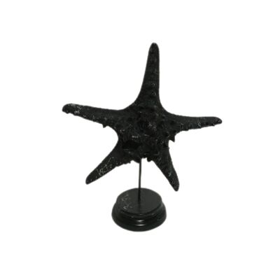 Sculpture Star Black Marble Effect