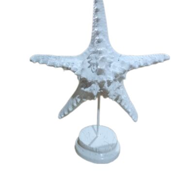 Sculpture Star White Marble Effect