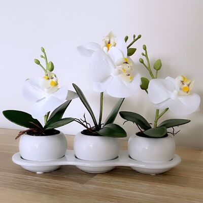Trío de orquídeas artificiales en bandeja de cerámica