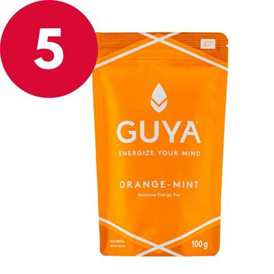 Thé Guayusa Bio - Orange-Menthe 5 unités