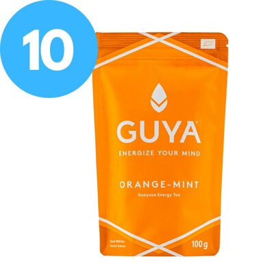 Thé Guayusa Bio - Orange-Menthe 10 unités