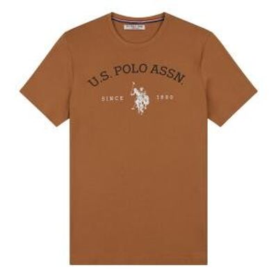 USPA Graphic T-Shirt , Tobacco Brown
