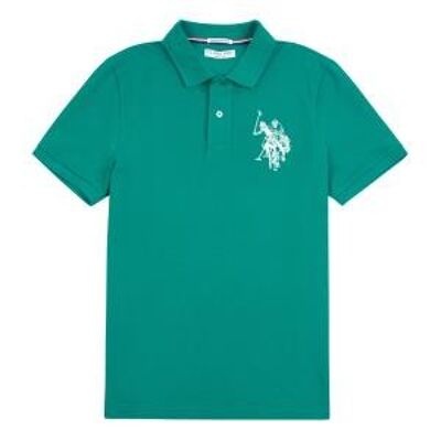 Large DHM Polo Regular Fit , Ivy