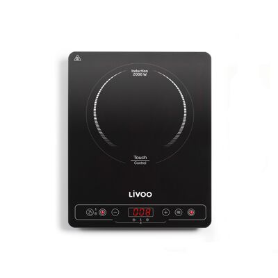 Single induction hob