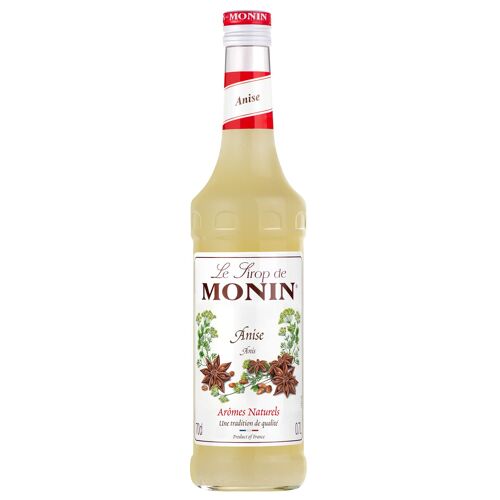 Sirop d'Anis MONIN pour cocktails ou boissons rafraîchissantes - Arômes naturels - 70cl