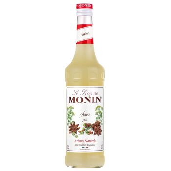 Sirop d'Anis MONIN pour cocktails ou boissons rafraîchissantes - Arômes naturels - 70cl 1