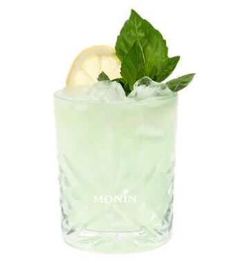 Sirop d'Anis MONIN pour cocktails ou boissons rafraîchissantes - Arômes naturels - 70cl 3