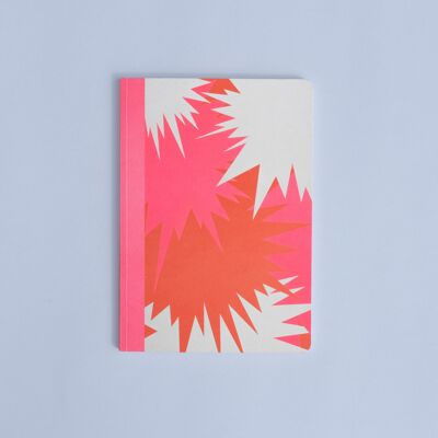 Notebook | Hanabi