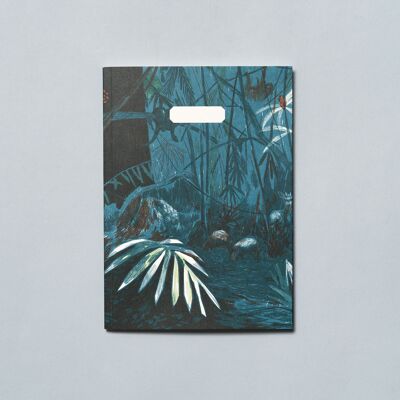 Cuaderno | amazonia
