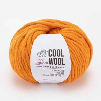 Cool Wool, lana chunky, Zafron