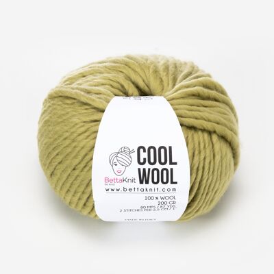 Cool Wool, lana chunky, Light Green