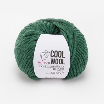 Cool Wool, lana chunky, Forest Green