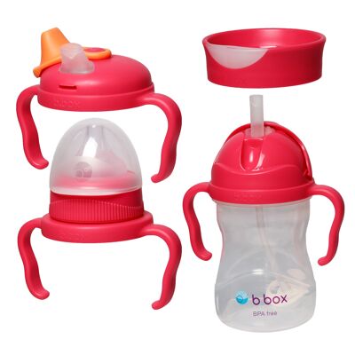 4 to 12 Month Scalable Baby Learning Cup Pack - Raspberry