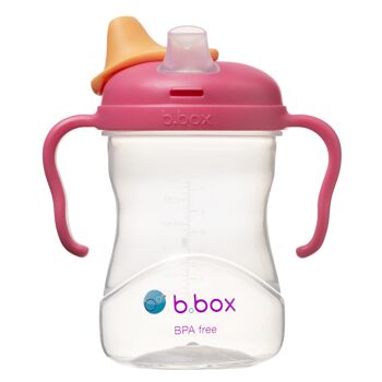 Pack tasse d’apprentissage bébé évolutive de 4 à 12 mois - Raspberry 5