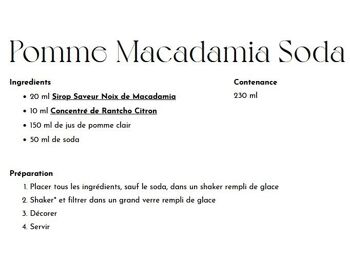 Sirop Saveur Noix de Macadamia MONIN pour boissons chaudes, cocktails ou sodas - Arômes naturels - 70cl 2