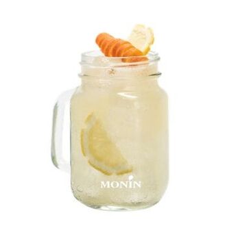 Sirop de Menthe Glaciale MONIN pour cocktails et limonades - Arômes naturels - 70cl 3