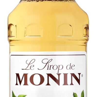 MONIN Hazelnut Flavor Syrup to flavor your hot drinks - Natural flavors - 70cl