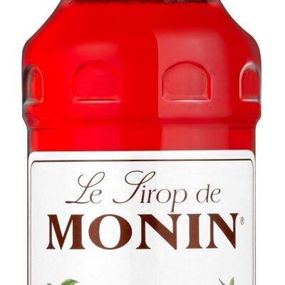 MONIN Spicy Flavor Syrup - Natural flavors - 70cl