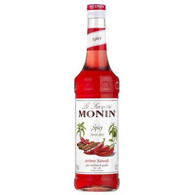 MONIN Spicy Flavour Sirup für Cocktails oder Heißgetränke - Natürliche Aromen - 70cl