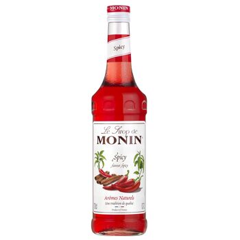 Sirop Saveur Spicy MONIN pour cocktails ou boissons chaudes - Arômes naturels - 70cl 1