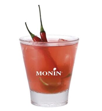 Sirop Saveur Spicy MONIN pour cocktails ou boissons chaudes - Arômes naturels - 70cl 3