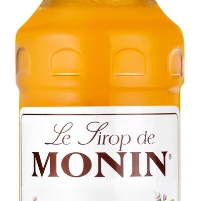 MONIN Apricot Syrup - Natural flavors - 70cl