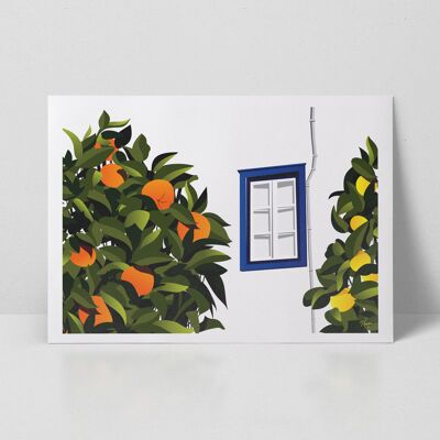 Oranges and Lemons, Greece A3 Art Print