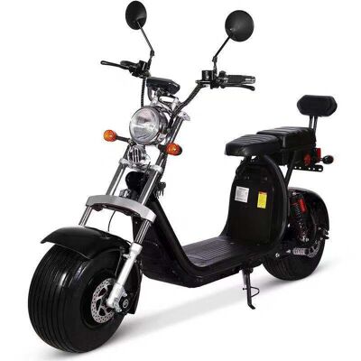 Electric Motorcycle 2000w