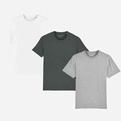 Mens Organic Everyday Luxury Essential T-Shirt Pack x3 | MWCGOELE