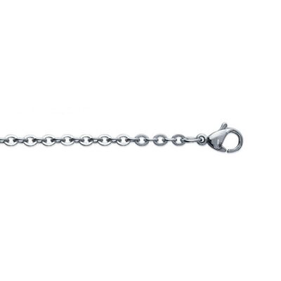 Catena in acciaio n°2 - 45 cm