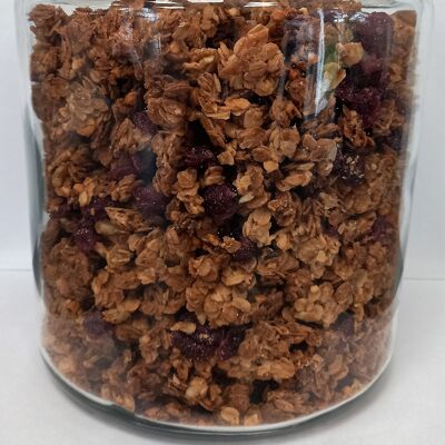 Granola Cranberries Vrac (1 kg)