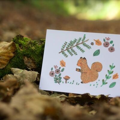 squirrel card